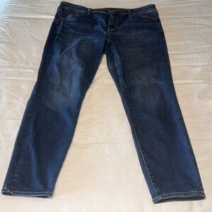 American Eagle Premium Stretch Highrise Jeggings 18 Short